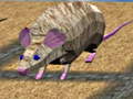 Xogo Mouse Race Islands