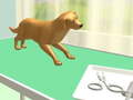 Xogo Paw Care