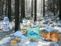Xogo Winter Wonderland Forest Adventure