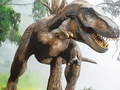Xogo Tyrannosaurus Rex Carnivore Jigsaw