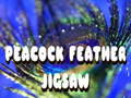 Xogo Peacock Feather Jigsaw