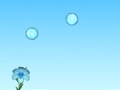 Xogo Feed the Flowers