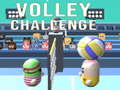 Xogo Volley Challenge