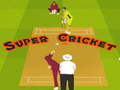 Xogo Super Cricket 