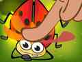 Xogo Insect Crush