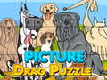 Xogo Picture Drag Puzzle