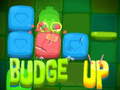 Xogo Budge Up