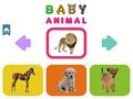 Xogo Baby Animal