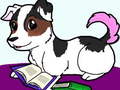 Xogo Pets Slide