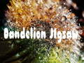 Xogo Dandelion Jigsaw