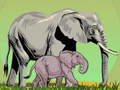 Xogo Wild Animals and Their Babies