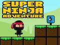 Xogo Super Adventure Ninja