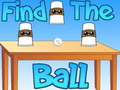 Xogo Find The Ball
