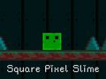Xogo Square Pixel Slime