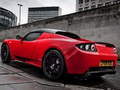 Xogo Tesla Roadster Slide