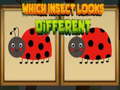 Xogo Which Insect Looks Different