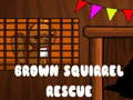 Xogo Brown Squirrel Rescue