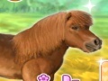 Xogo My Dear Pony