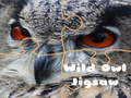 Xogo Wild owl Jigsaw