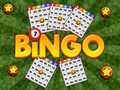 Xogo Bingo Revealed