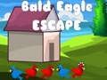 Xogo Bald Eagle Escape