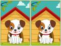 Xogo Spot 5 Differences
