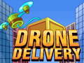 Xogo Drone Delivery