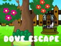 Xogo Dove Escape