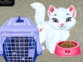 Xogo Baby Taylor Pet Care