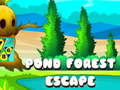 Xogo Pond Forest Escape