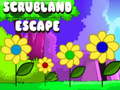 Xogo Scrubland Escape