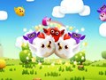 Xogo Birds LineUp