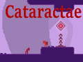 Xogo Cataractae