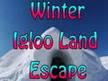 Xogo Winter Igloo Land Escape 