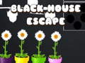 Xogo Black House Escape