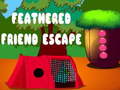 Xogo Feathered Friend Escape