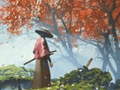 Xogo Samurai Reflexion
