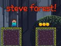 Xogo Steve Forest