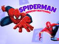 Xogo Spiderman Memory Matching