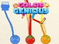 Xogo Color Genious