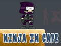 Xogo Ninja in Cape