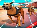 Xogo Crazy Dog Race