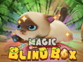 Xogo Magic Blind Box