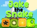 Xogo Jake The Snake