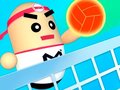 Xogo 3D Amazing VolleyBall