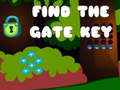 Xogo Find the Gate Key