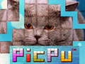Xogo PicPu Cat 