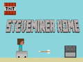 Xogo Steveminer Home