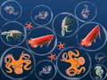 Xogo Ocean Fish Merge