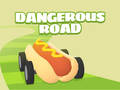 Xogo Dangerous Roads